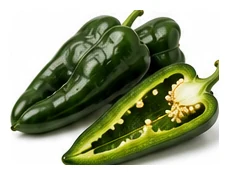 Poblano harvest / detail