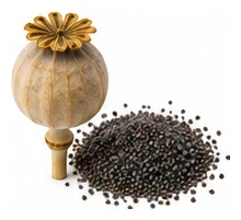 Poppy harvest / detail