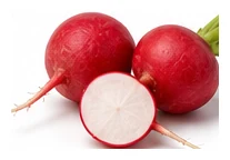 Radish harvest / detail