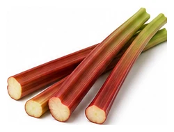Rhubarb harvest / detail