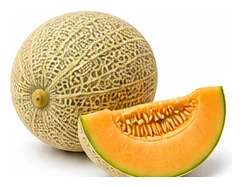 Rockmelon harvest / detail