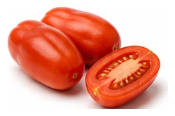Roma Tomato harvest / detail