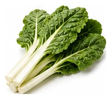 Silverbeet harvest / detail