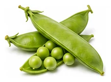 Snow Pea harvest / detail