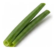 Spring Onion leaf detail