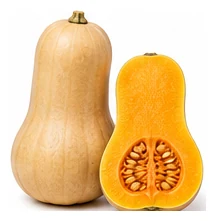 Squash, Winter harvest / detail