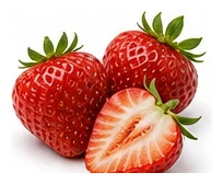 Strawberry harvest / detail