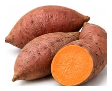 Sweet Potato harvest / detail