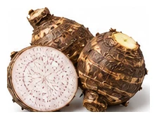 Taro harvest / detail