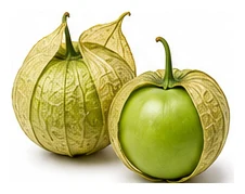 Tomatillo harvest / detail
