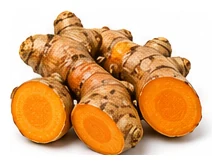 Turmeric harvest / detail