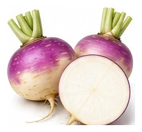 Turnip harvest / detail