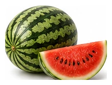 Watermelon harvest / detail