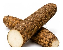 Yam harvest / detail