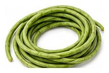 Yardlong Bean harvest / detail