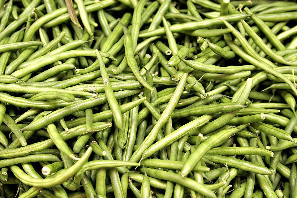 Beans (Phaseolus vulgaris)
