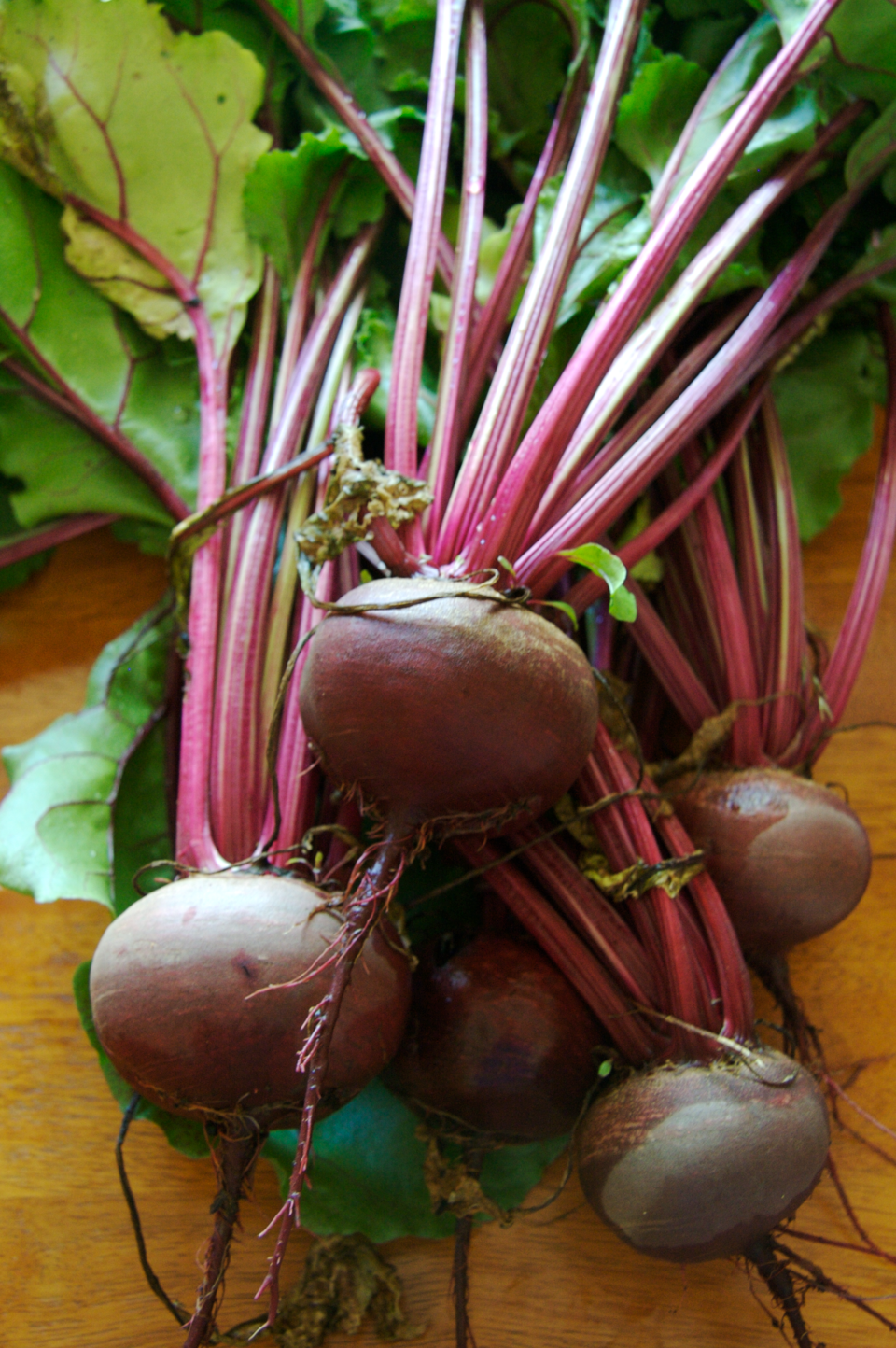 Beetroot (Beta vulgaris)