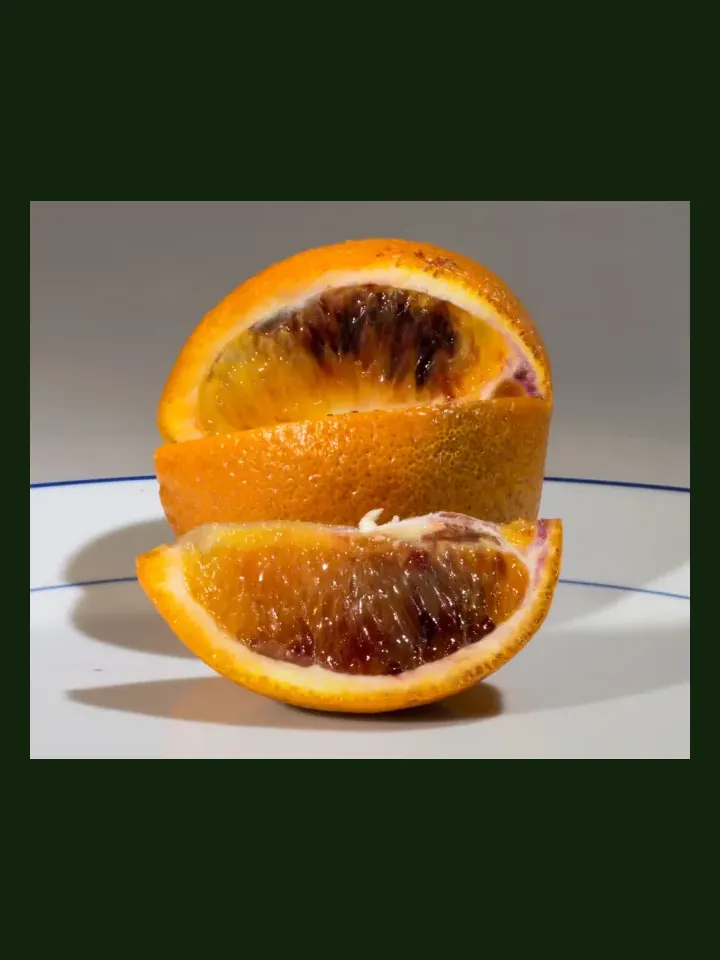 Blood Orange real-world photo reference (Citrus sinensis)