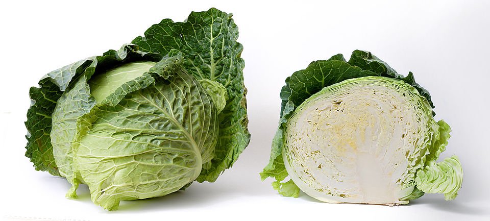 Cabbage (Brassica oleracea var. capitata)