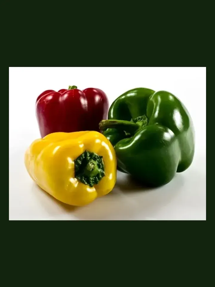 Capsicum real-world photo reference (Capsicum annuum)