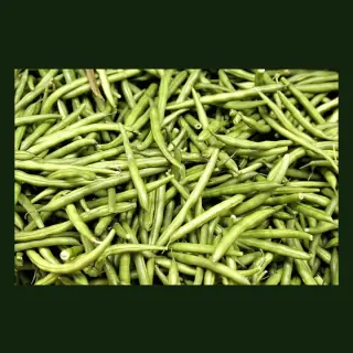 Beans