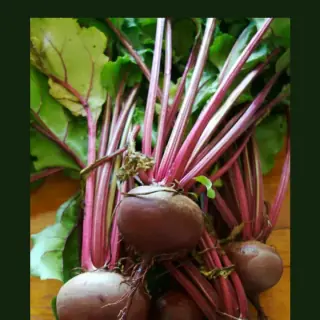 Beetroot