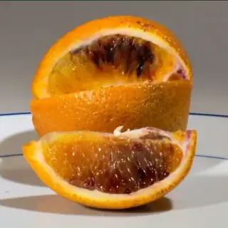 Blood Orange
