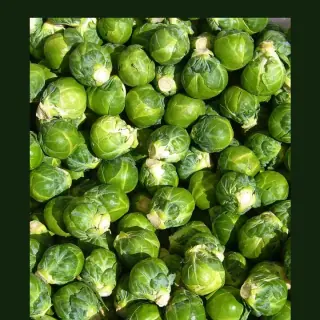 Brussels Sprouts