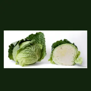 Cabbage