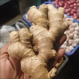 Ginger