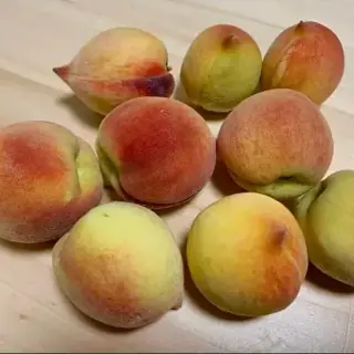 Peach