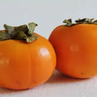 Persimmon