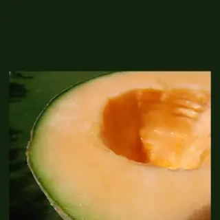 Rockmelon