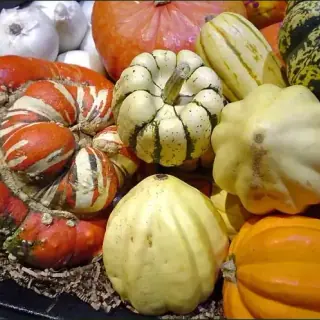 Squash, Winter