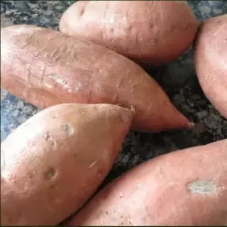 Sweet Potato