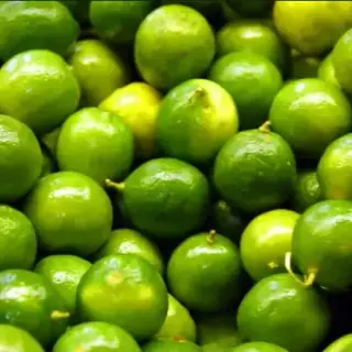 Tahitian Lime