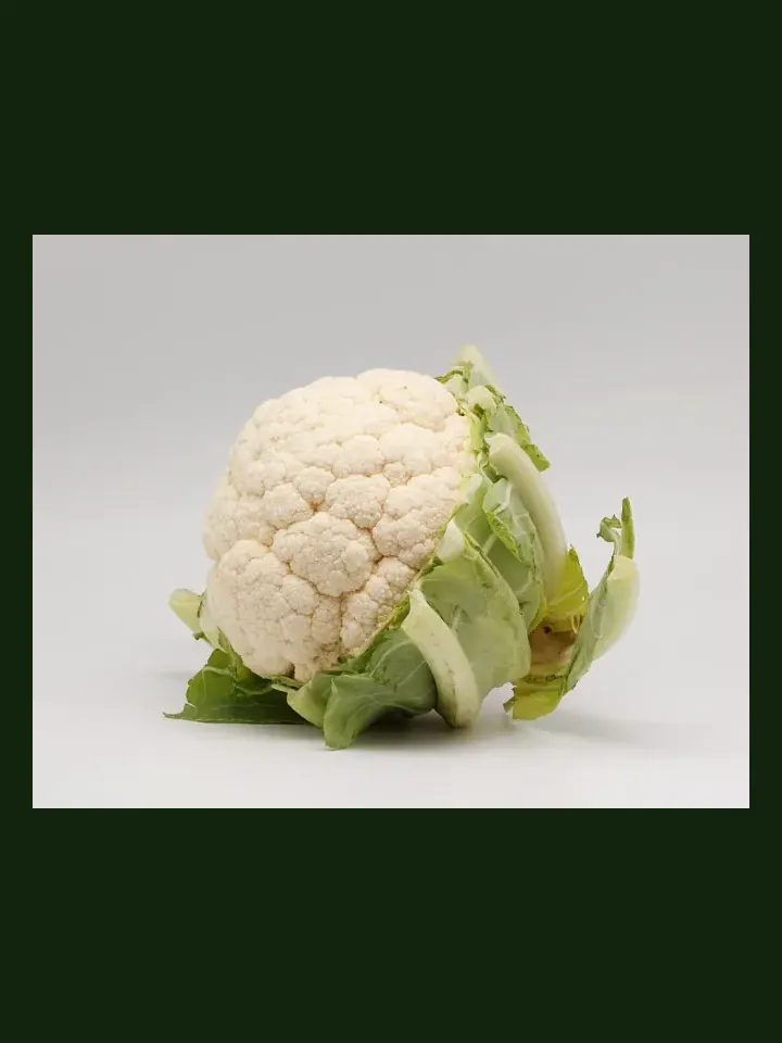 Cauliflower real-world photo reference (Brassica oleracea botrytis)