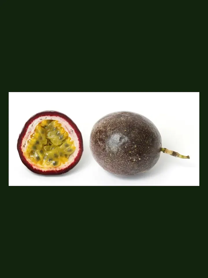 Passionfruit real-world photo reference (Passiflora edulis)