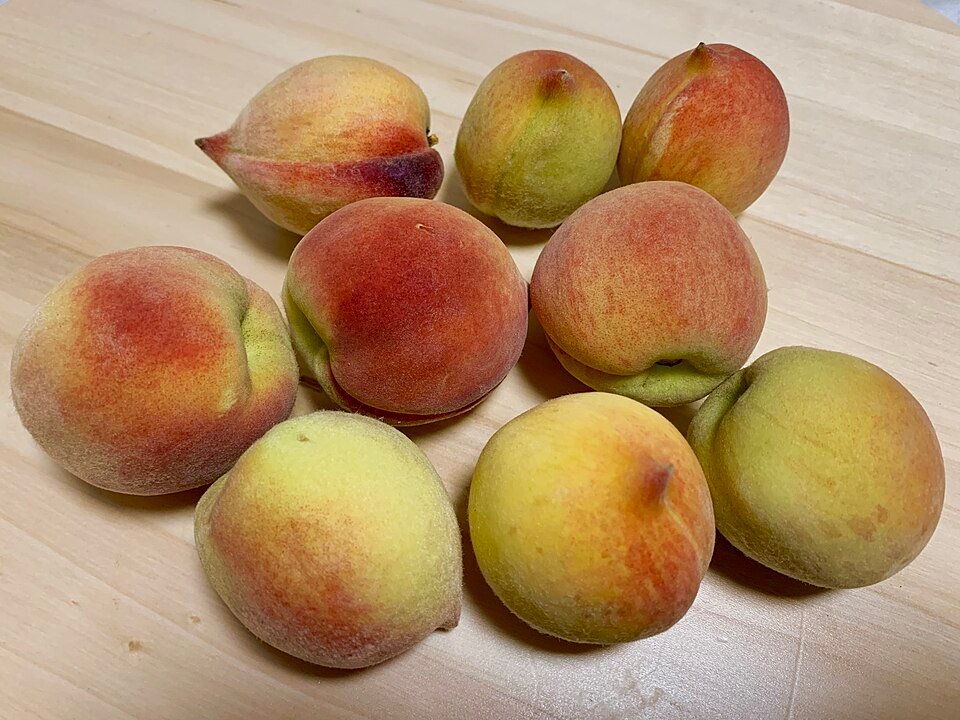 Peach (Prunus persica)