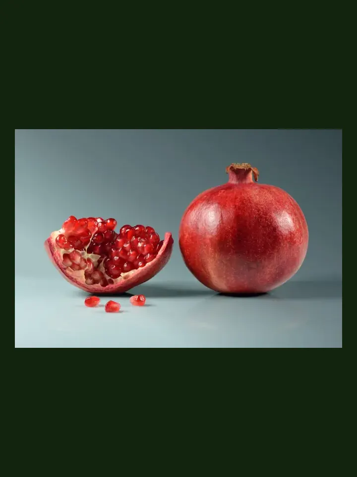 Pomegranate real-world photo reference (Punica granatum)