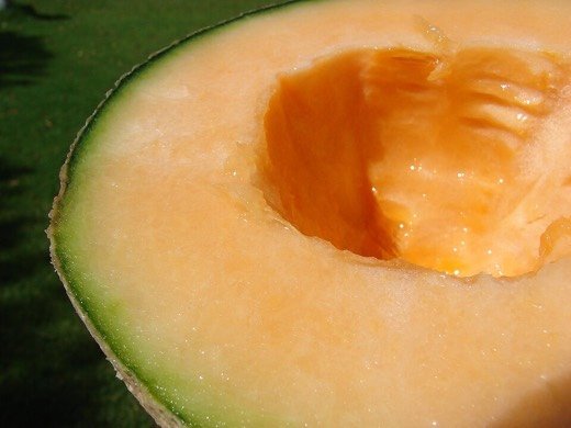 Rockmelon (Cucumis melo reticulatus)