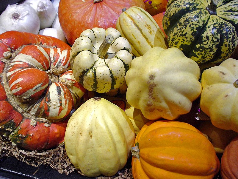 Squash, Winter (Cucurbita maxima/moschata)