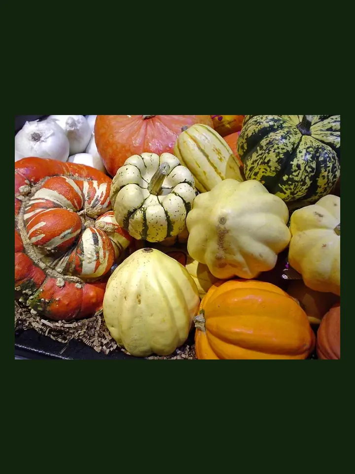Squash, Winter real-world photo reference (Cucurbita maxima/moschata)
