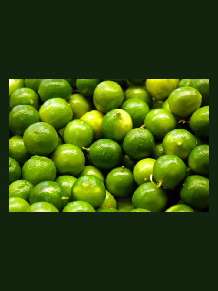 Tahitian Lime real-world photo reference (Citrus × latifolia)