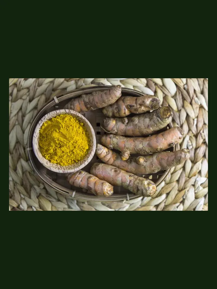 Turmeric real-world photo reference (Curcuma longa)