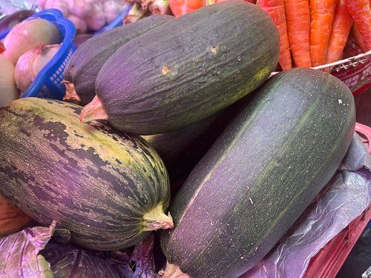 Zucchini (Cucurbita pepo)