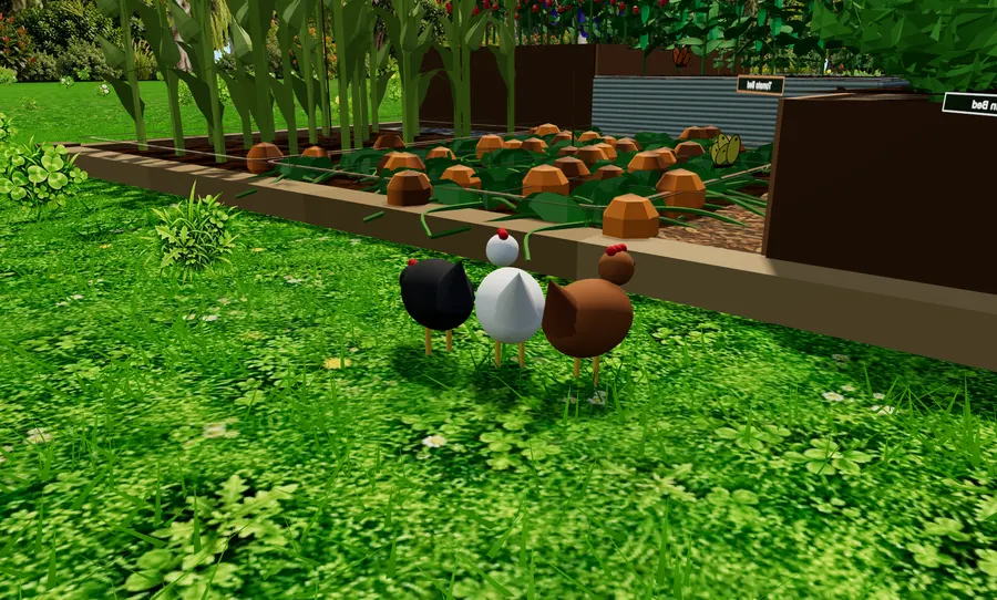 Three hens beside a raised bed