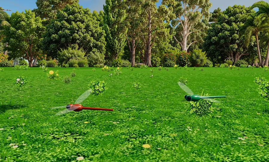 Two dragonflies hovering over the lawn