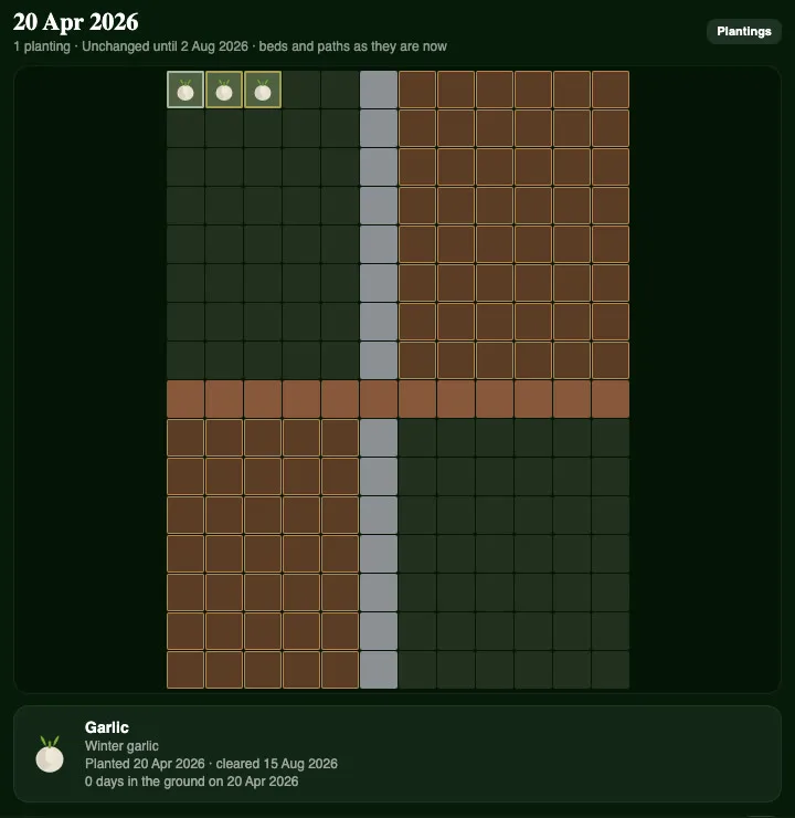 The Garden Timeline set to 20 April, with three squares of garlic highlighted and their planting details below
